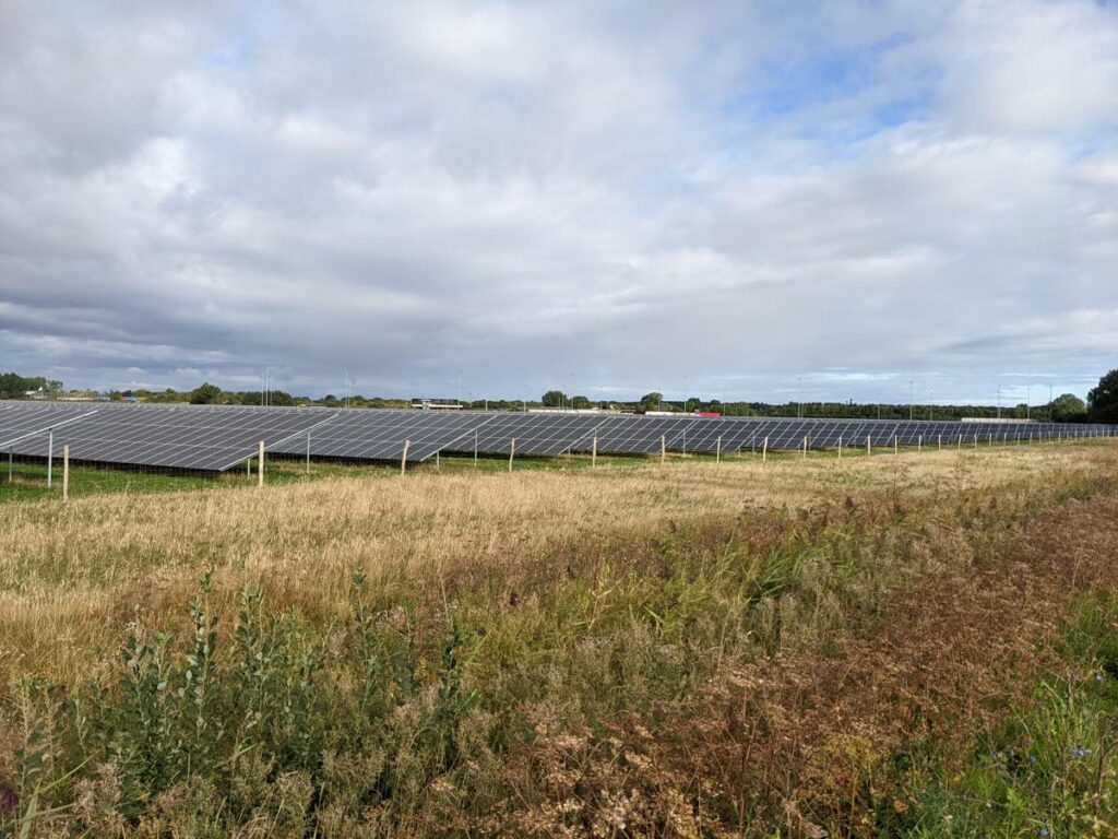 Large ground-mounted commercial solar PV array